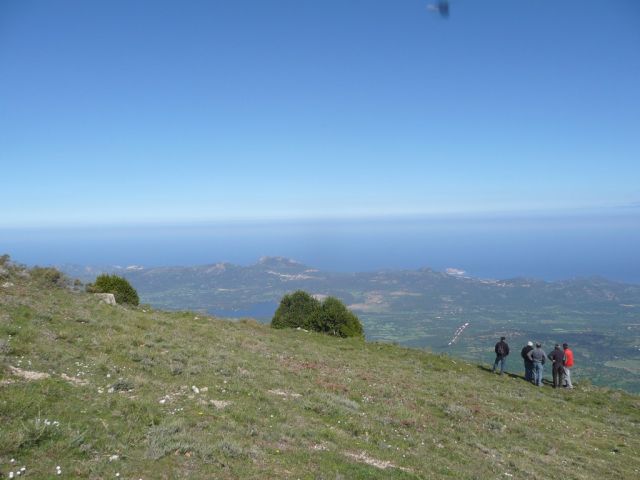 Bartavailes en Corse avril 2010 a 008.JPG